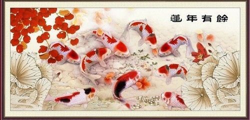 龍魚批發批發：在中國，龍魚批發可以通過多種途徑進行多種途徑進行