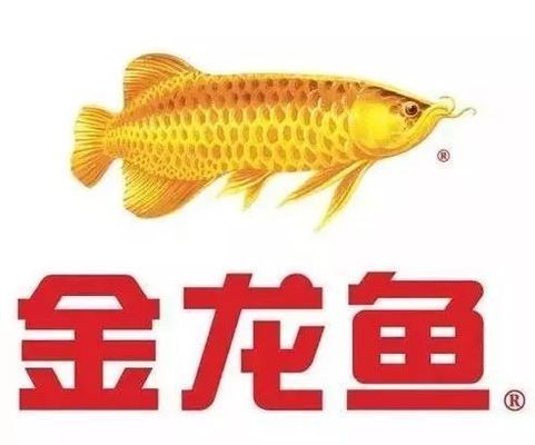 金龍魚和中糧的關(guān)系圖：金龍魚與中糧之間的關(guān)系圖揭示了兩家公司之間復(fù)雜的業(yè)務(wù)聯(lián)系和<strong><mark>合作</mark></strong>關(guān)系
