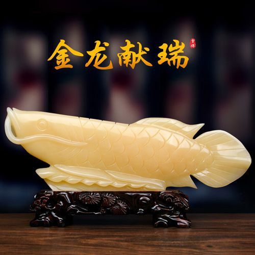 金龍魚45厘米多少錢一只