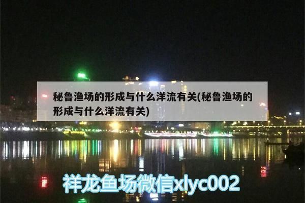 幽靈火箭魚對本土魚類的影響：幽靈火箭魚對本土魚類的影響是什么幽靈火箭魚對本土魚類的影響