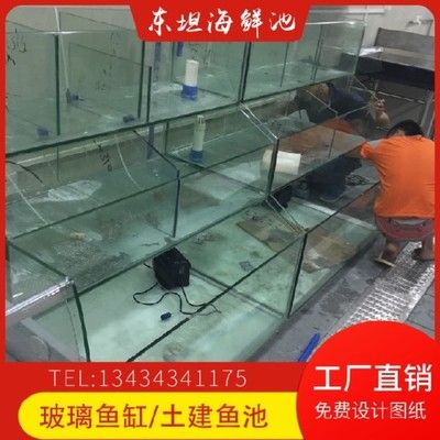 純黑缸養金龍魚好嗎（如何選擇金龍魚的缸體顏色）