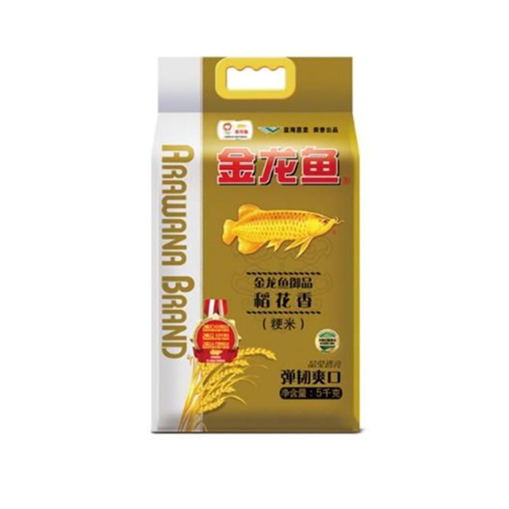金龍魚沉頭的處理方式：如何處理金龍魚沉頭問題
