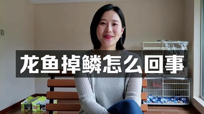 金龍魚掉鱗片了怎么辦啊