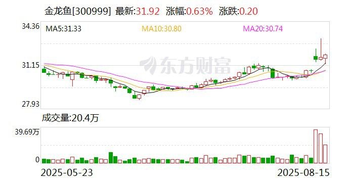 金龍魚 王宏偉