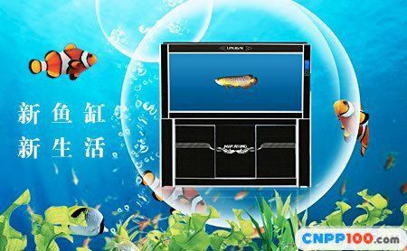 閩江水族魚缸官網(wǎng)