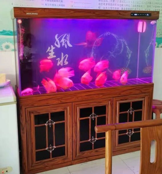閩江水族魚缸官網(wǎng)