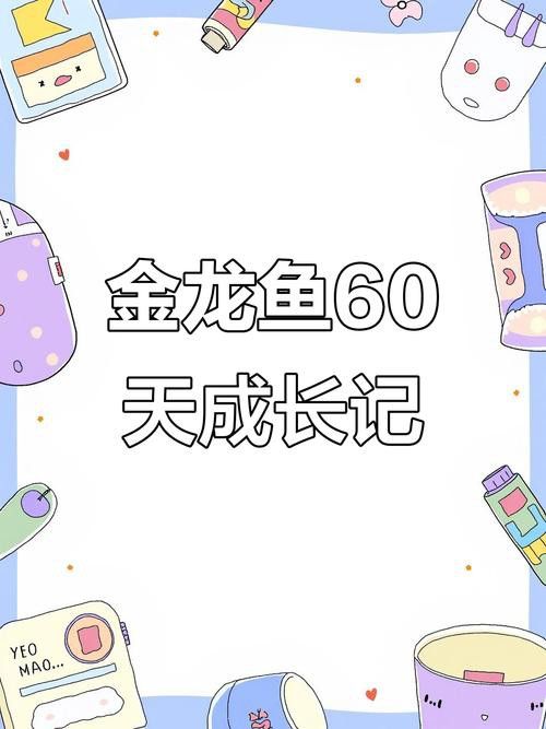金龍魚小時候長什么樣子圖片視頻