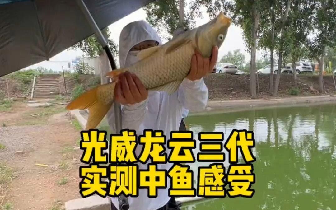 光威龍云三代適合釣什么魚？