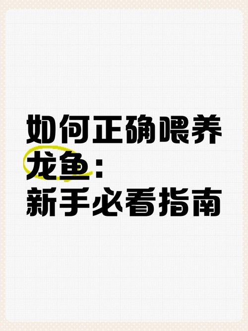 龍魚吃魚糧嗎會(huì)死嗎圖片大全
