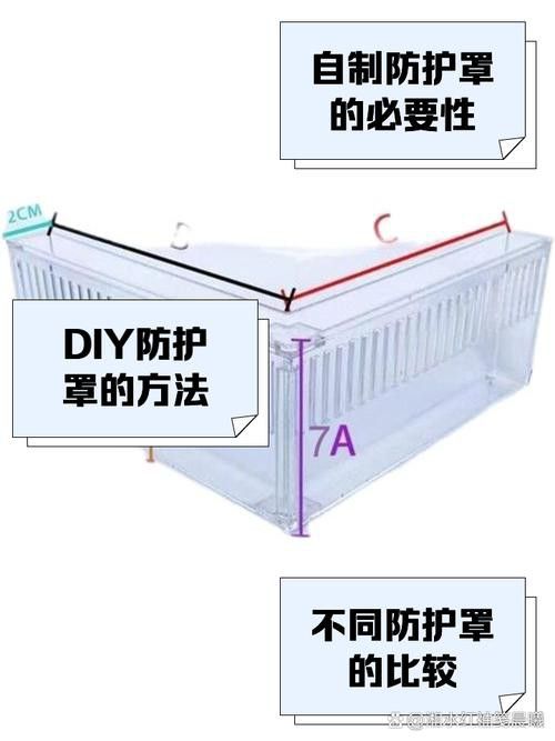 60cm缸養(yǎng)銀龍魚需要注意什么？