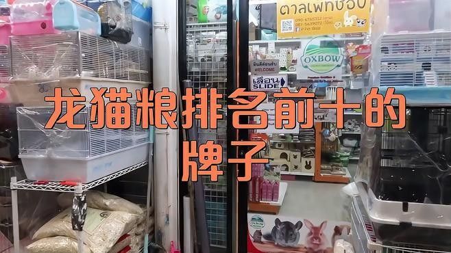 龍貓的主糧有哪些品牌推薦？