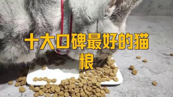 龍貓的主糧有哪些品牌推薦？