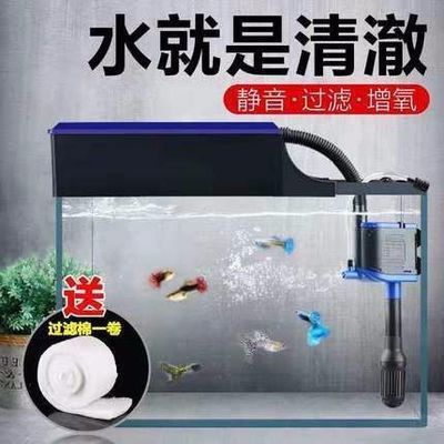 銀龍魚苗魚缸過濾器選擇：選擇合適的魚缸過濾器對(duì)于銀龍魚苗健康成長(zhǎng)至關(guān)重要
