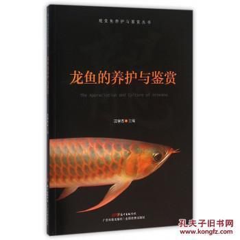 金龍魚觀賞魚哪個國家魚種最好養(yǎng)金龍魚哪個國家魚種最好養(yǎng)：金龍魚觀賞魚哪個國家魚種最好養(yǎng)呢？