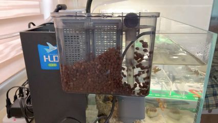 龍魚過濾材料 多久換一次比較好：龍魚過濾材料多久換一次比較好