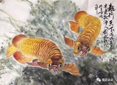 金龍魚由來：金龍魚品牌由來