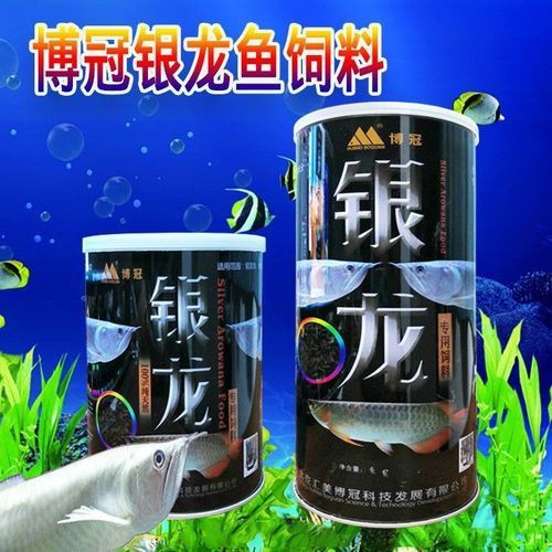 小銀龍魚吃什么飼料最好養