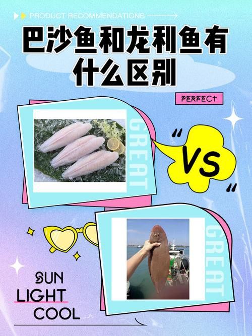 巴沙魚和龍魚是一種魚嗎圖片