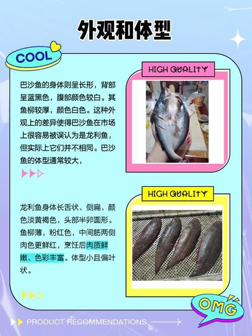 巴沙魚和龍魚是一種魚嗎圖片
