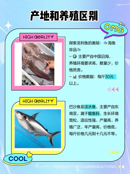巴沙魚和龍魚是一種魚嗎圖片