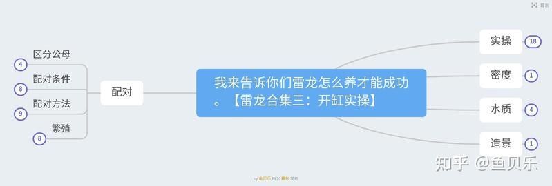 鬼王雷龍魚繁殖后如何護(hù)理？