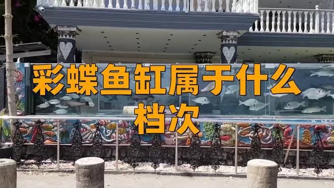 彩蝶龍魚缸有便宜點(diǎn)的嗎多少錢