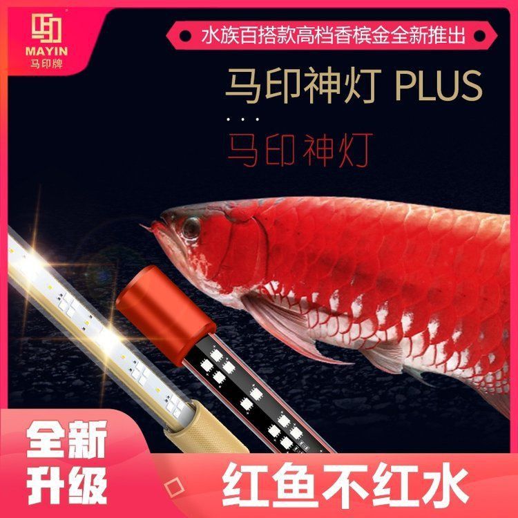 馬印燈價(jià)格一覽表