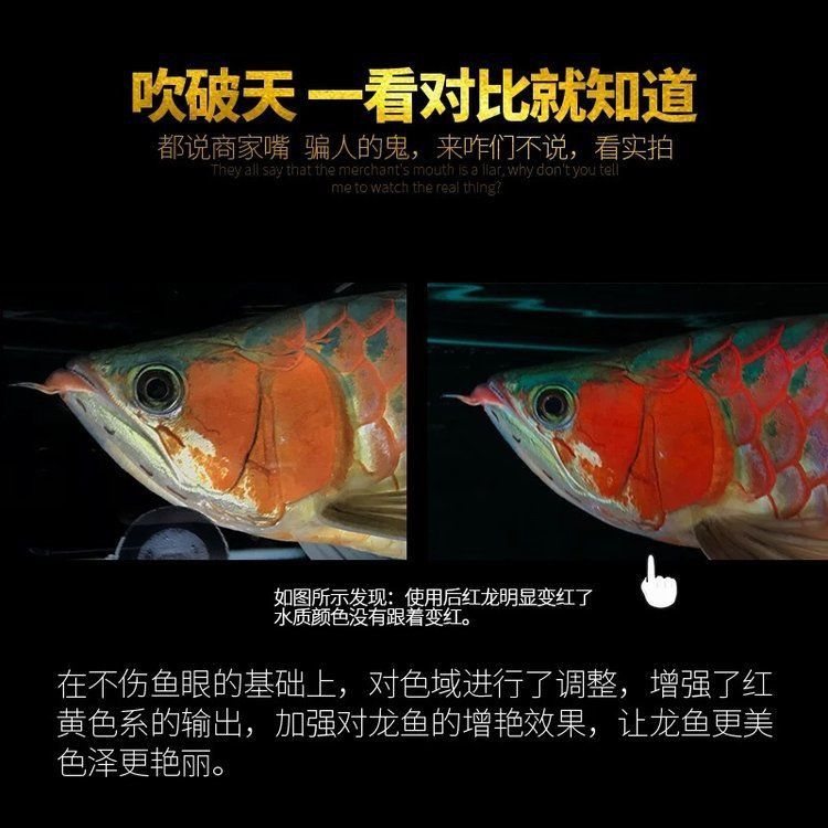馬印燈價(jià)格一覽表