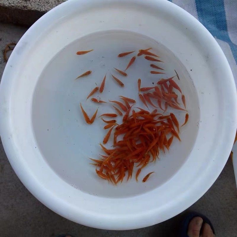 龍魚翹嘴好不好釣魚：龍魚翹嘴怎么釣