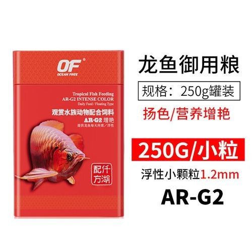 銀龍魚(yú)吃什么長(zhǎng)的快又好看圖片