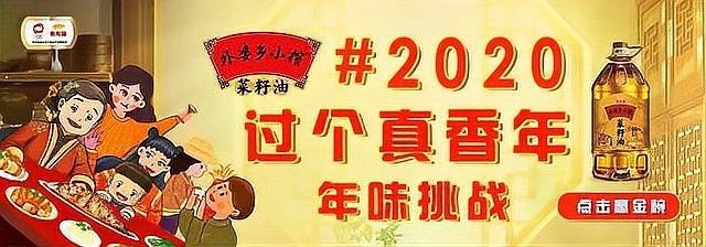 金龍魚營銷策劃案