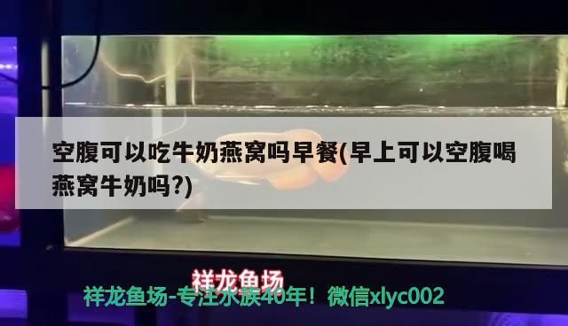 金龍魚混養幾條比較好一點的：金龍魚混養幾條比較好一點的魚