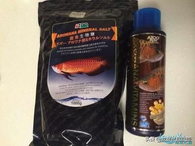 龍魚的飼料與營養配比表（龍魚專用飼料配方大全）