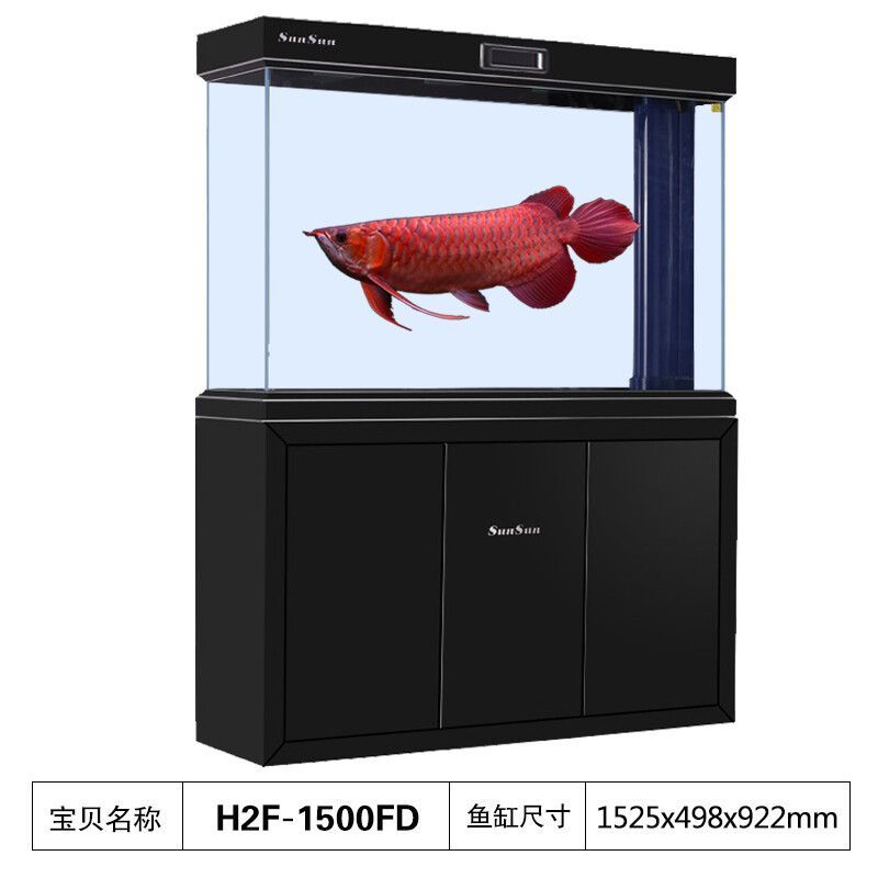 龍魚(yú)缸一般多大尺寸的：龍魚(yú)缸尺寸規(guī)格龍魚(yú)缸大小合適嗎