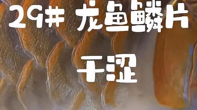 如何判斷龍魚鱗片潰爛的程度？