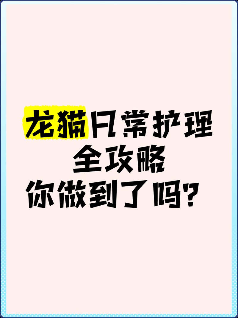 龍貓籠子多久清洗一次？