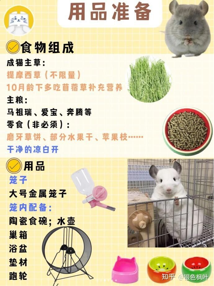 龍貓籠子多久清洗一次？