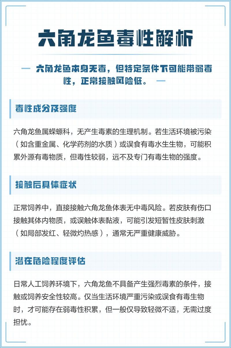 養(yǎng)六角恐龍魚有毒嗎