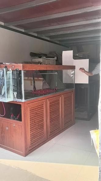 專業(yè)龍魚缸