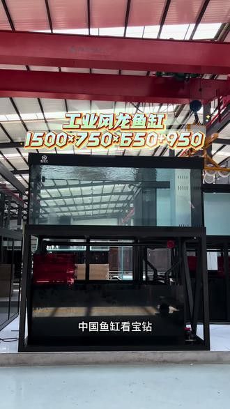 專業(yè)龍魚缸