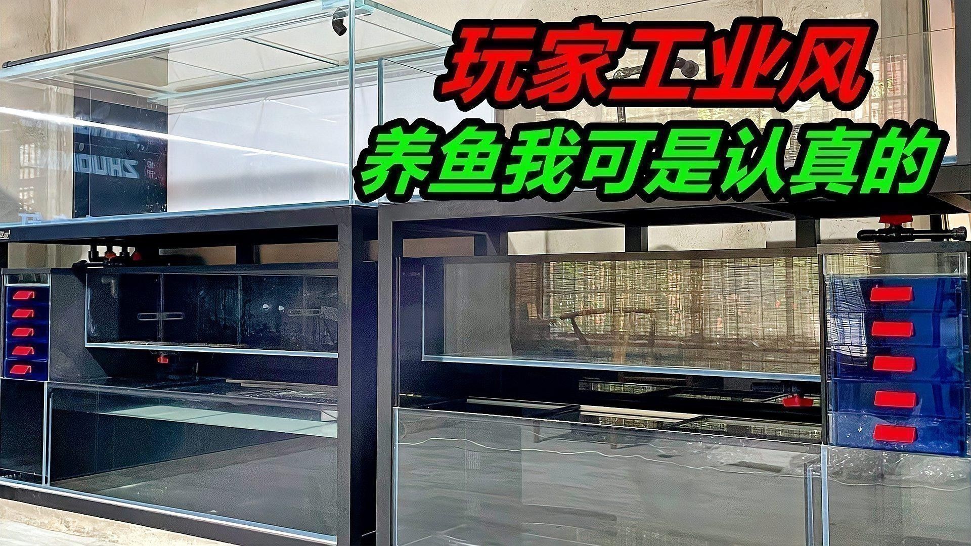 專業(yè)龍魚缸