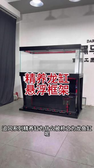 專業(yè)龍魚缸