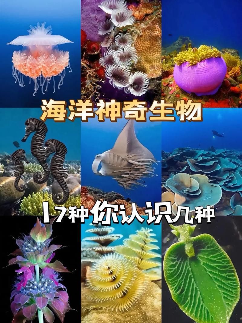 龍魚土霉素用法用量（使用土霉素治療龍魚腸炎時）