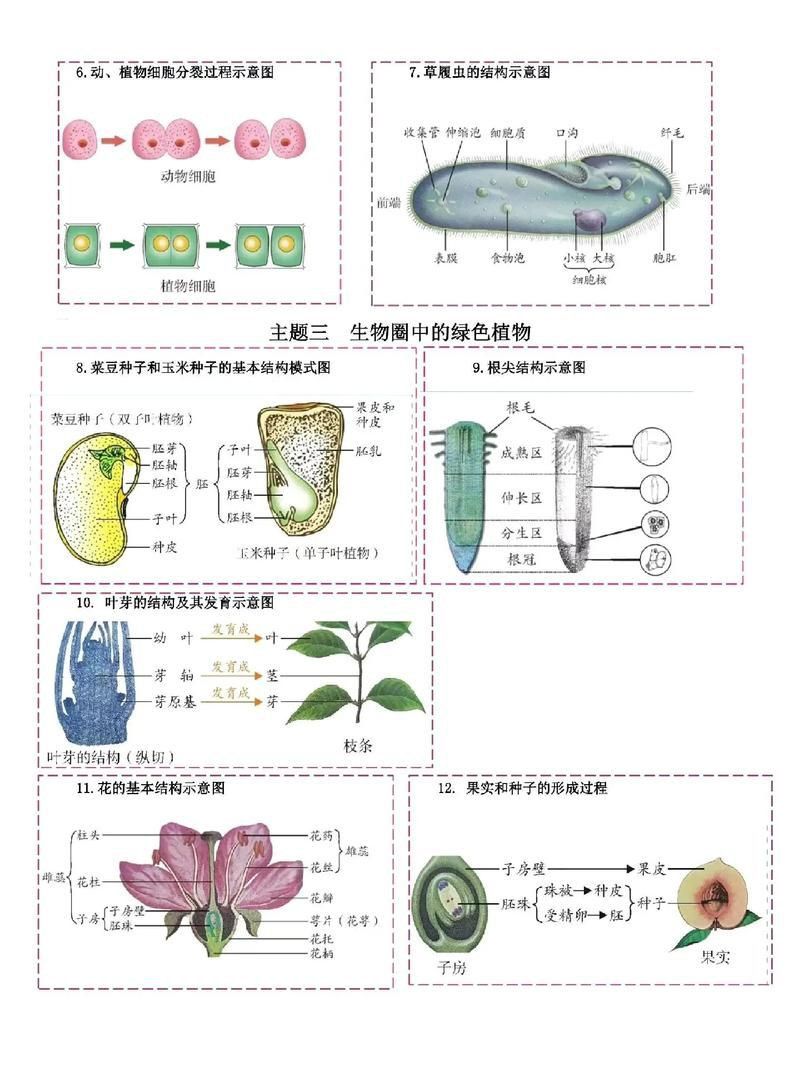 龍魚土霉素用法用量（使用土霉素治療龍魚腸炎時）