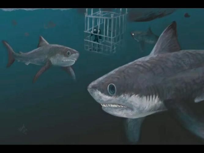 龍魚土霉素用法用量（使用土霉素治療龍魚腸炎時）