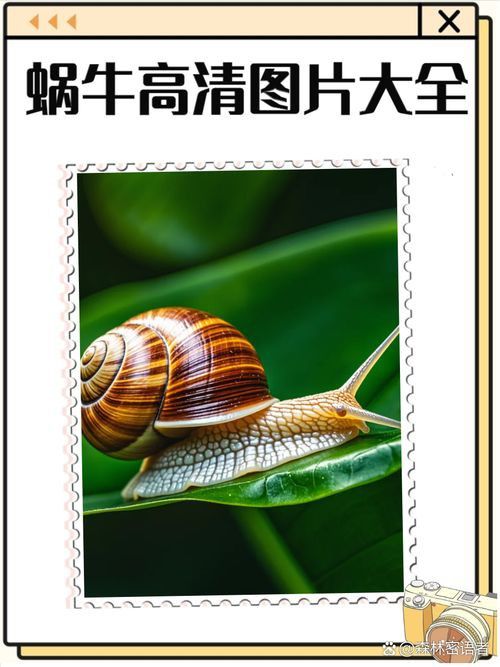 龍魚土霉素用法用量（使用土霉素治療龍魚腸炎時）