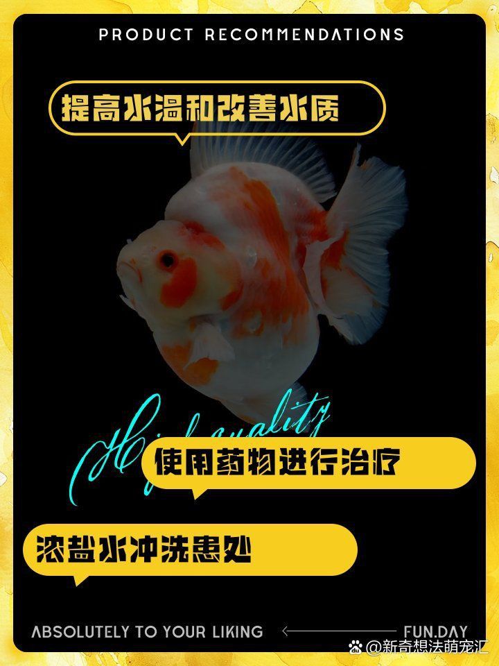 金魚頭頂發白怎么處理
