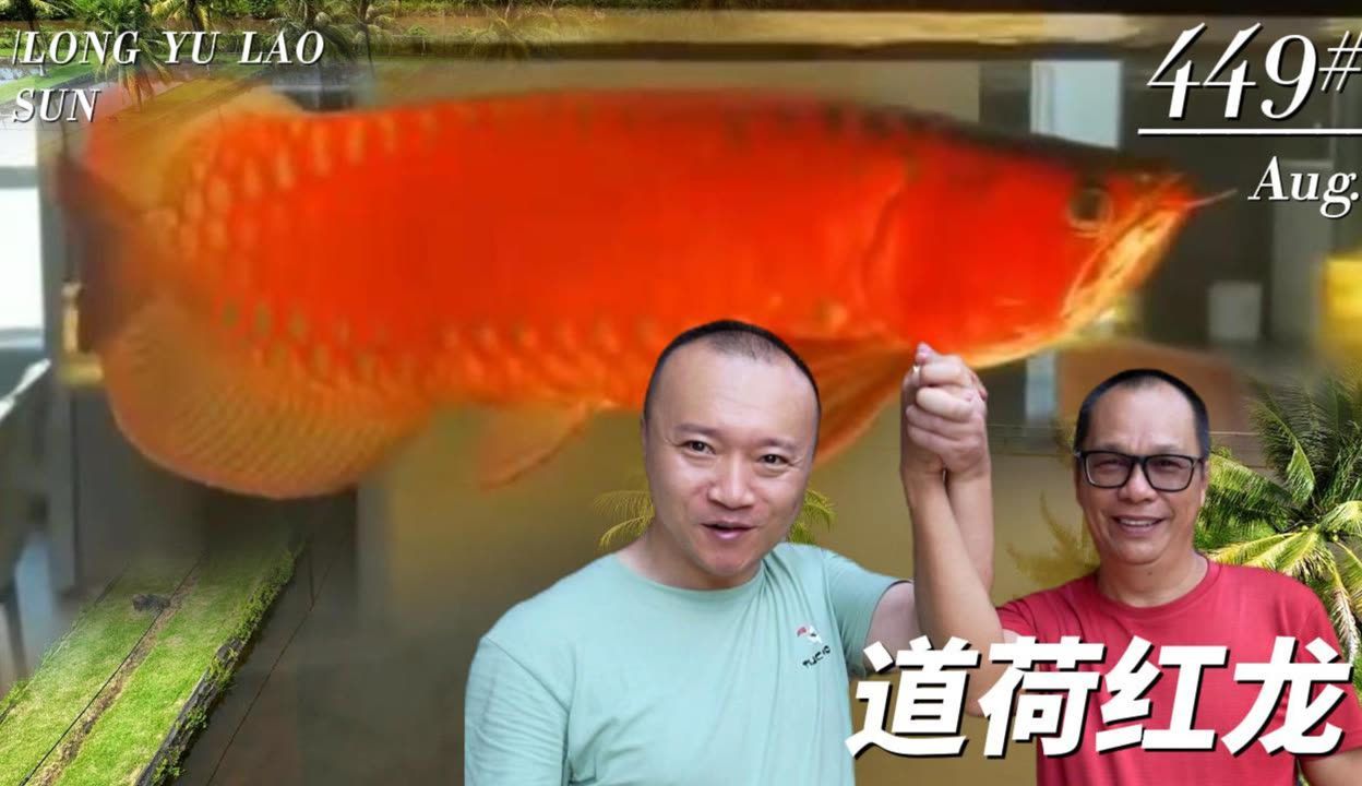 和興龍魚官網首頁：關于和興龍魚官網首頁