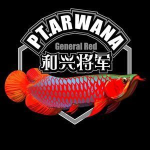和興龍魚官網首頁：關于和興龍魚官網首頁