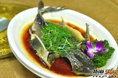 龍魚肉質：龍魚的營養(yǎng)豐富，含有高質量的蛋白質，且刺少